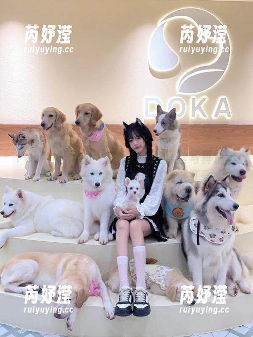 Feilin嗲囡囡-BABY_柒 Feilin嗲囡囡 - BABY_柒黑丝写真精选集:每一张都是动人的视觉享受
