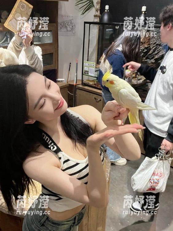 pans - 来探秘樱桃的美脚全套写真，免费下载不过如此简单