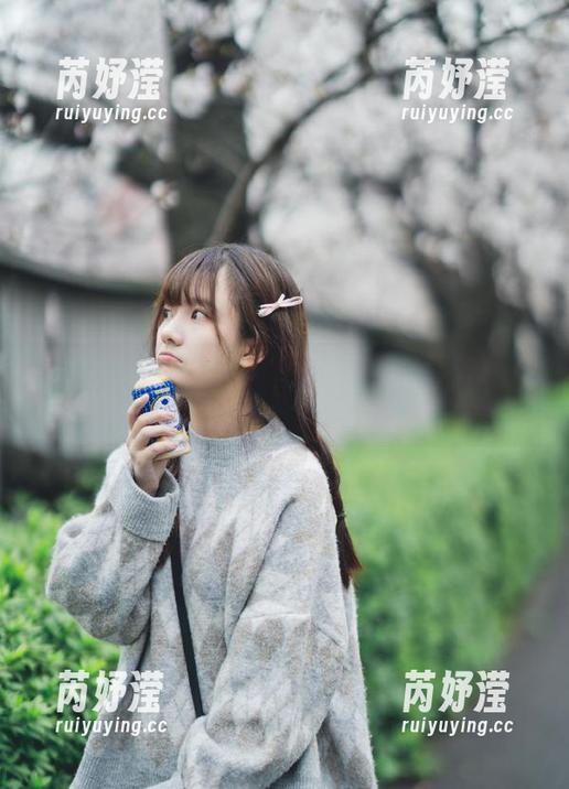 森萝财团 森萝财团内部VIP系列蜃楼:精选美图与多元化图包