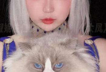 探索椒妮佐仁的写真魅力，《大凤》带你享受视觉盛宴