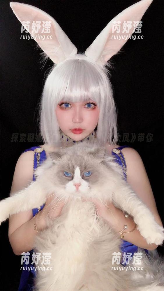 探索椒妮佐仁的写真魅力，《大凤》带你享受视觉盛宴