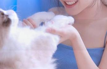 分享白莉爱吃巧克力的温柔原图，仿佛瞬间进入一场梦幻旅程
