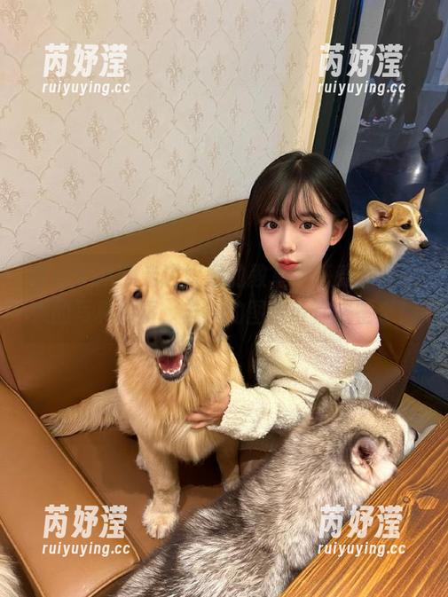 青丘女神 - 走进妮妮的教室，感受那些动人的写真故事，丰富的图库等你来鉴赏！
